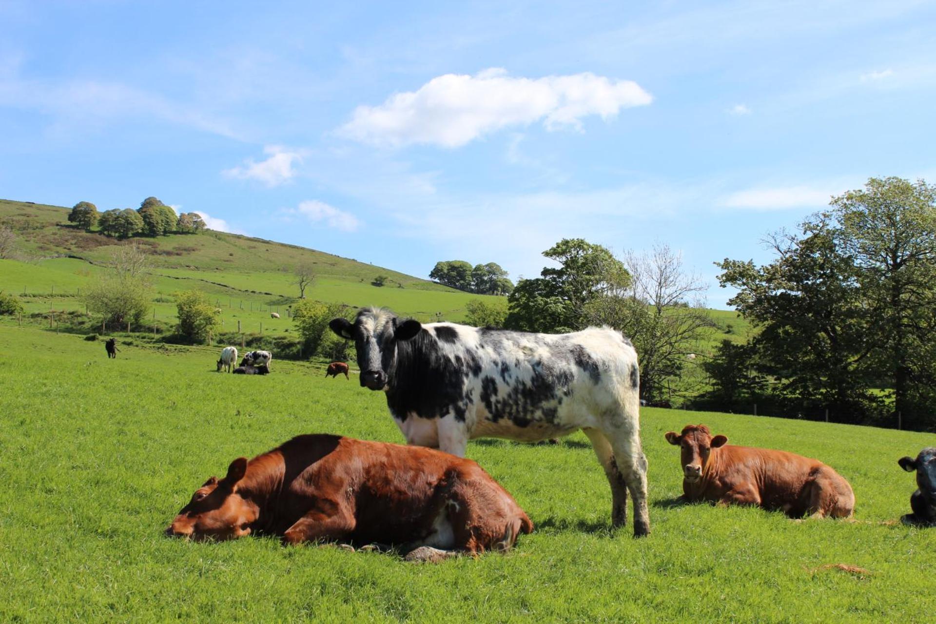 Riding House Farm Cottages Castleton  Ngoại thất bức ảnh